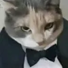 dywzjqnwy1nu