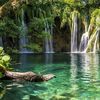 about_nature3