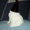 juanxndra