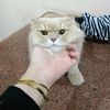 fatimaalzahraa391