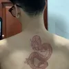 binhpp206