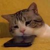 user5708508243148