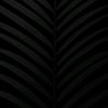 user_r8r