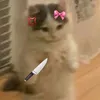 tala_9424