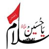 ammarhassan994