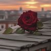 4my821014
