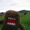 domo3313