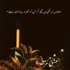 syedaminahilgulzar
