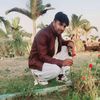 chfalakgujjar2