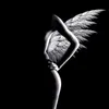 user8151791968122