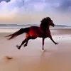 asdghkuy