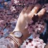 jasminflower78