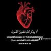 x_sifo_x_26