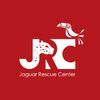 Jaguar Rescue Center