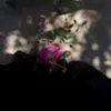 pt8k_