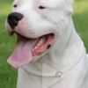 roger_0303
