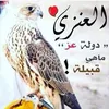 alialanzi362