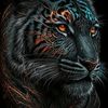 lalbadshah6666tiger