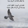 user6101836164429