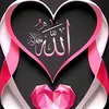 www.tiktokzeinab5