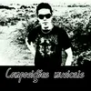 gellsantanacompositor