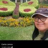 carolinalemos64