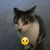 snaaaassshhh