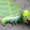 mengetik...54