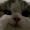 wcksn7