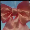 gaby.lima30