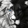 jungle_kingraj