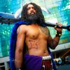 yonko.gene