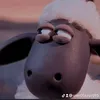user05jurprq95