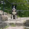 wernertreppe