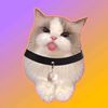duskcat_official