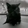 fnnnnnnnnch