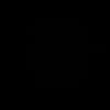 aysenurklnc00