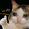 genshinruinedmylife