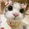 1ur_love22