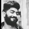 aliammar273