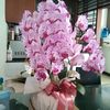 ibune.kembar8