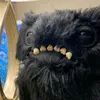 byyyntash