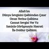 elnur79