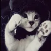 _poprostu_majka