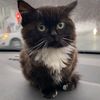 vanya__superman228228