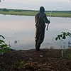 mikola.33