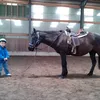 silas_deinfav