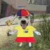 bettlejuic7
