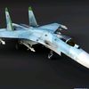 suhka_27