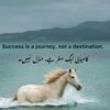 hunainkhan12229
